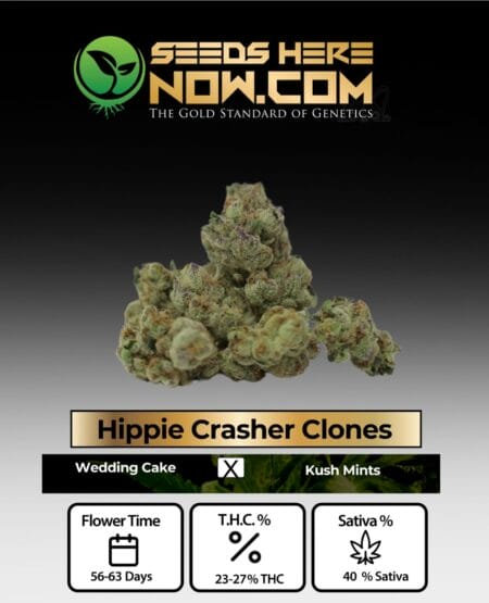 Hippie Crasher Clones