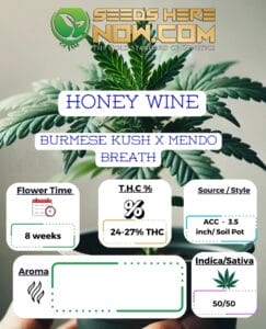 Honey Wine Clones (space) ACC
