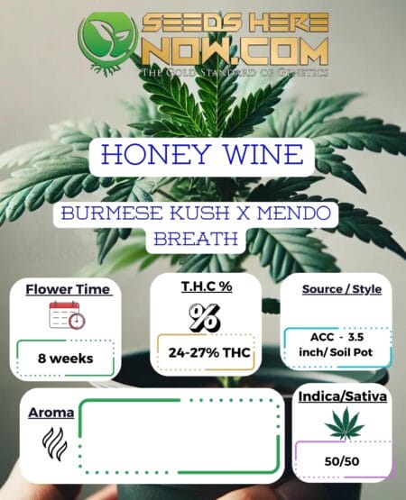 Acc - Honey Wine Clones