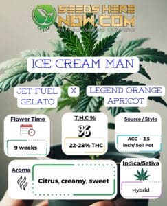 Ice Cream Man Clones - ACC