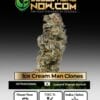 Ice Cream Man Clones - Acc