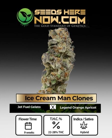 Ice Cream Man Clones - Acc