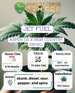 Jet Fuel Clones - Acc