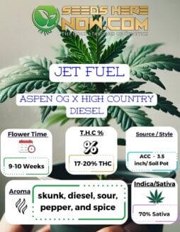 Jet Fuel Clones - ACCJet Fuel Clones - ACC