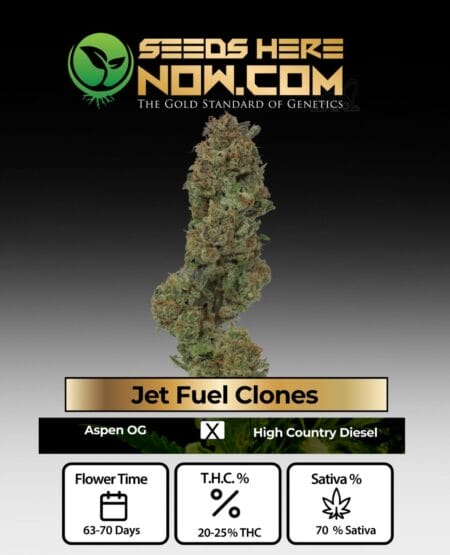 Jet Fuel Clones - Acc