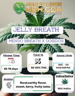 ACC - Jelly Breath ClonesACC - Jelly Breath Clones