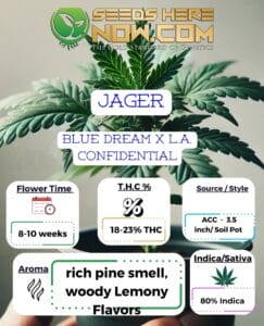 Jager Clones - Acc