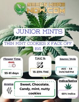 ACC - Junior Mints Clones