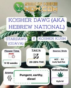 Kosher Dawg (aka Hebrew National)- Acc