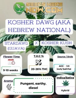 ACC - Kosher Dawg (AKA Hebrew National)