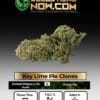 Key Lime Pie Clones - Acc