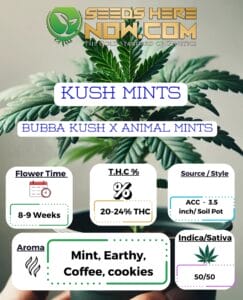 Kush Mints Clones - Acc