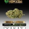 Lemon Apricot Clones (space) ACC