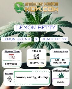 Lemon Betty  Clones - Acc