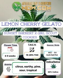 Lemon Cherry Gelato Clones - Acc