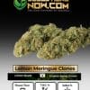 Lemon Meringue Clones (space) ACC