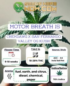 Motor Breath 15 Clones - Acc