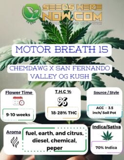 ACC - Motor Breath 15 Clones