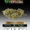 Marionberry Kush Clones (space) ACC