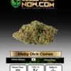Moby Dick Clones - Acc