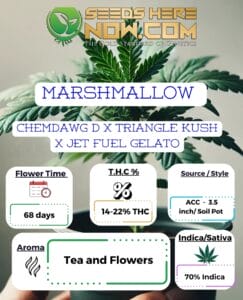 Marshmallow Clones - Acc