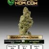 Marshmallow Clones - Acc
