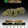 Mendo breath clones - acc