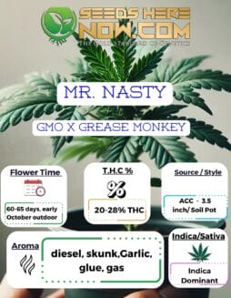 ACC - Mr Nasty Clones