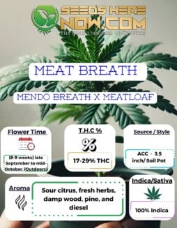 Meat Breath Clones - ACCMeat Breath Clones - ACC