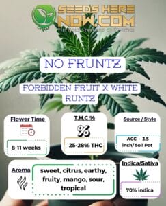 No Fruntz Clones - Acc