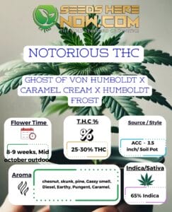 Notorious Thc Clones - Acc