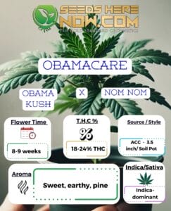 Obamacare Clones - ACC