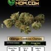 Orange Cookies Clones - Acc