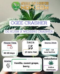 Ogee Crasher Clones - Acc