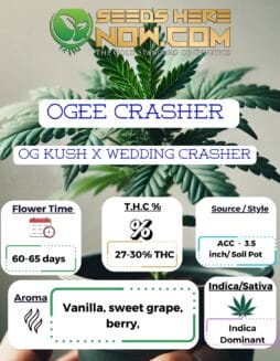 ACC - Ogee Crasher Clones