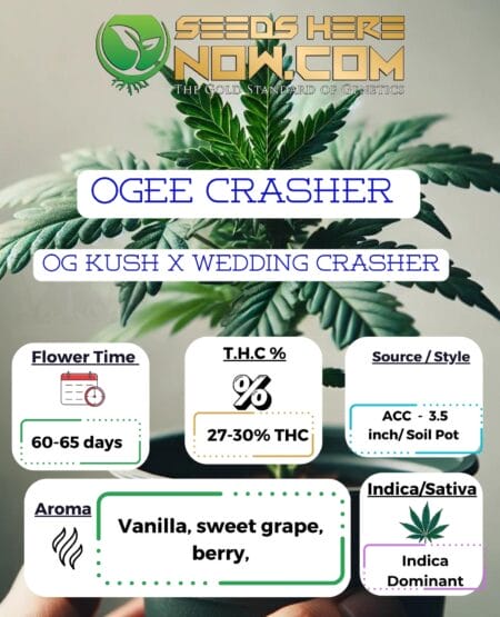 Acc - Ogee Crasher Clones