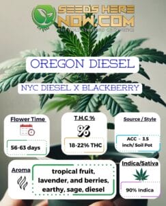 Oregon Diesel Clones - Acc