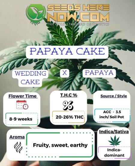 Papaya Cake Clones - Acc