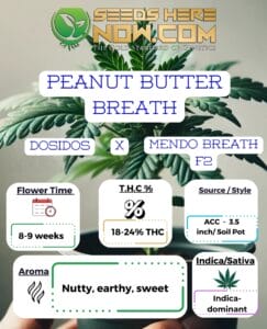 Peanut Butter Breath Clones - Acc