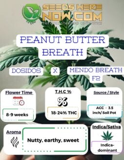 Peanut Butter Breath Clones - ACCACC - Peanut Butter Breath