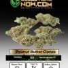 Peanut Butter Breath Clones (space) ACC