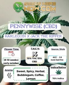 Pennywise (cbd) Clones- Acc