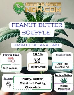 ACC - Peanut Butter Souffle Clones