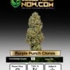 Purple punch clones - acc