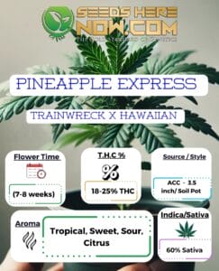 Pineapple Express Clones - Acc