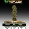 Pineapple Express Clones - Acc