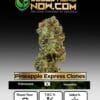 Pineapple Express Clones - Acc