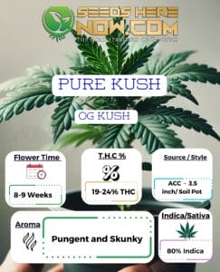 Pure Kush Clones - Acc