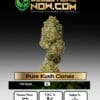Pure Kush Clones - Acc
