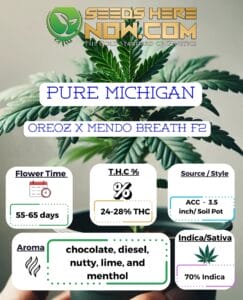 Pure Michigan Clones - Acc